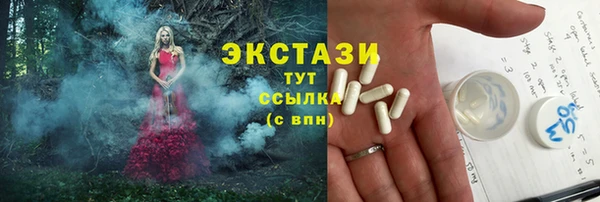гидра Богородицк