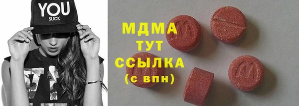 гидра Богородицк