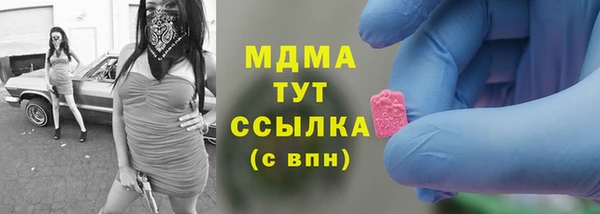гидра Богородицк