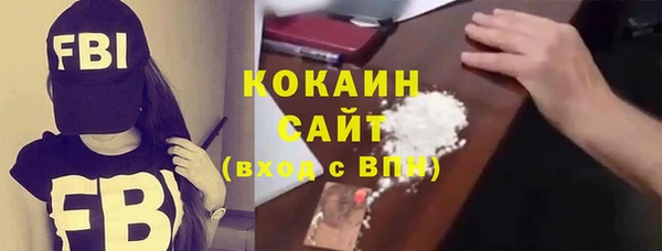гидра Богородицк