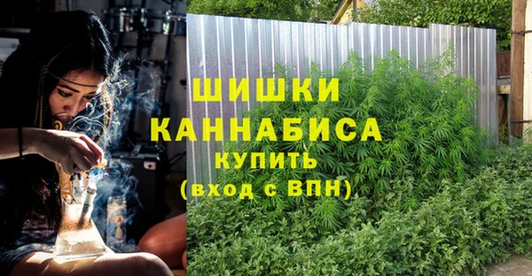 гидра Богородицк