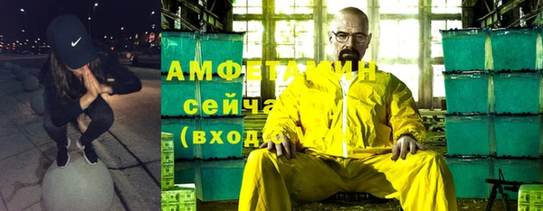гидра Богородицк
