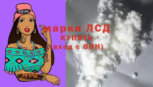 стафф Богданович