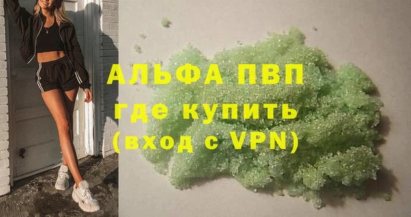гидра Богородицк