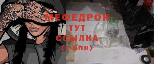 гидра Богородицк