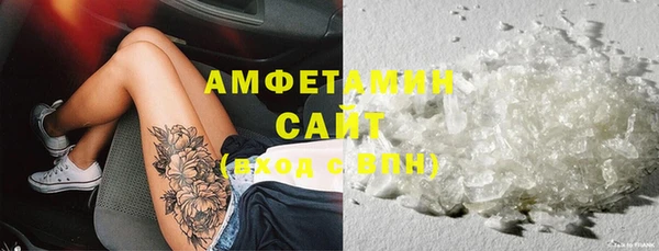 гидра Богородицк