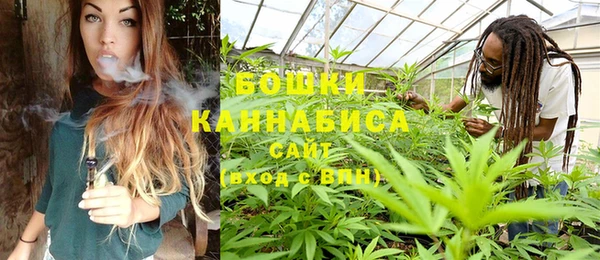 ГАЛЛЮЦИНОГЕННЫЕ ГРИБЫ Богородск