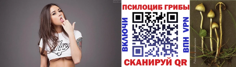Псилоцибиновые грибы GOLDEN TEACHER  Купить где  Камышлов 
